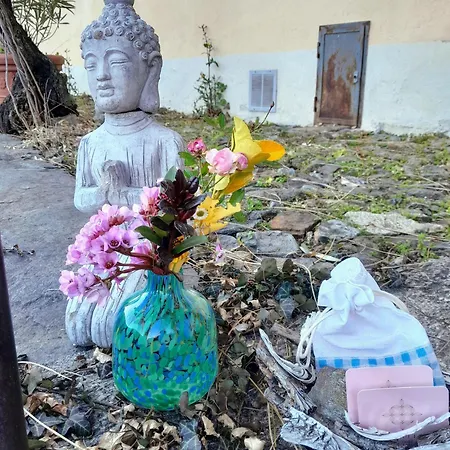Casa Di Lui E Luise - Yoga - Ayurveda - Kraeuter - Bed & Breakfast *